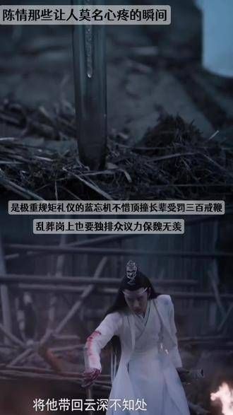 一入陈情深似海，最不缺的就是遗憾