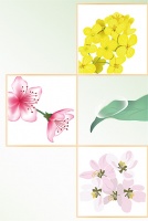 春雨为何多在夜里下