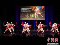 2025德国法兰克福莱茵美茵华人春晚举行