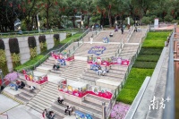 广州新中轴线共庆乙巳年，丰富活动展览营造节日氛围