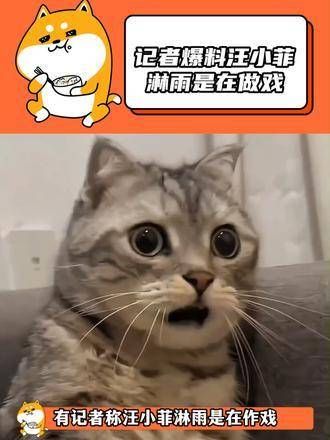 记者爆料称汪小菲淋雨是在演戏,影片流出前,他的保姆车早已从机场返回家中
