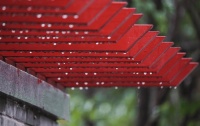 【节气里的大美郑州】雨水