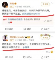 陈晓婚后片酬超过3亿，离婚陈妍希至少分走1亿，还会争到抚养权