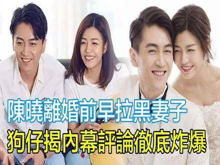 陈晓曾经的霸气宣言如今成了笑柄,这一举动成为离婚的关键因素