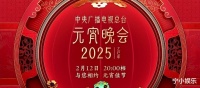 2025元宵晚会：群星璀璨，却意外失色？演员逆袭，谁是最大赢家？