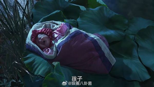 芈月刚出生就被扔河里,幸好少司命保佑,芈月毫发无伤
