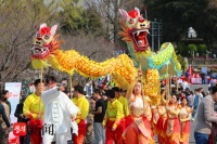 “龙抬头，好兆头” 南京玄武湖公园上演“民俗大戏”