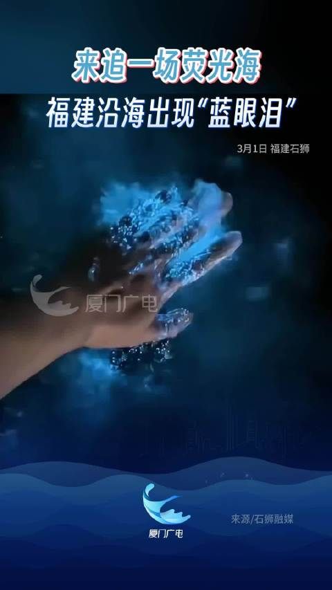 超梦幻!福建蓝眼泪星河的具象化