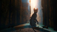 奥斯卡最佳动画长片：《猫猫的奇幻漂流》