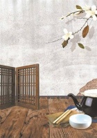 林、沈、顾、陆……言情剧里为何总是这些姓扎堆