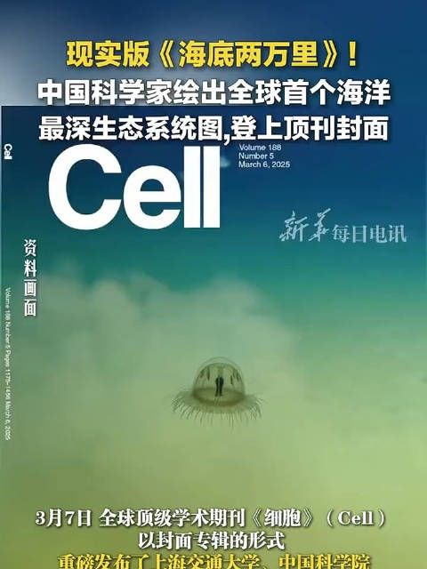现实版《海底两万里》?!中国学者绘制首个海洋最深生态系统图