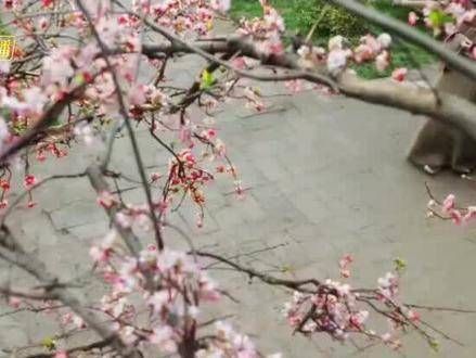 李昀锐也挑战了父亲这个角色,真是让人怀念那位英年早逝的郦父啊