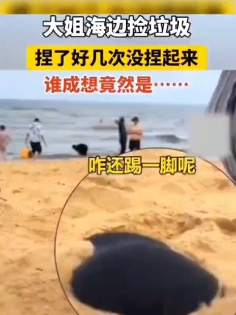 大姐海边捡东西,捏了好几次没捏起来,谁成想竟然是