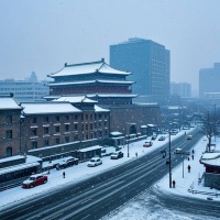 乔叶：雪的现实主义｜名家阅读