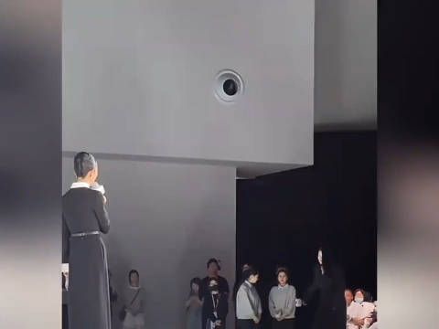 李湘咋胖成这样了?