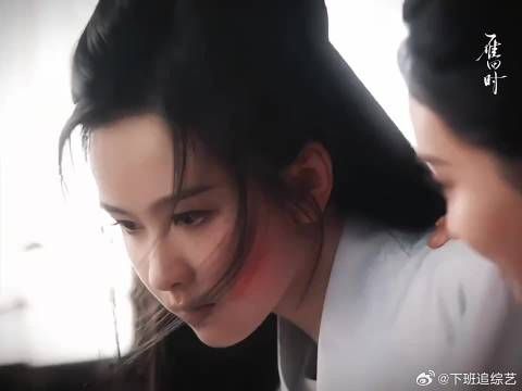 陈都灵挑战辛云来,小狼仔对决老谋深算的毒蛇