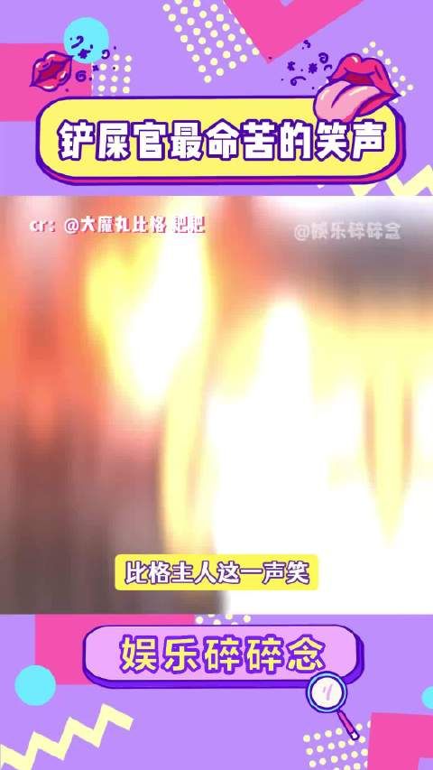 有种命苦感觉的比格犬主人