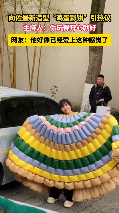 太抽象了!主持人评价向佐鸡蛋饼造型是疯癫美学