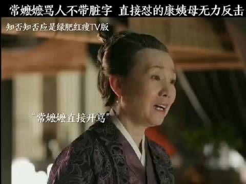 常嬷嬷骂人不带脏字,直接怼得康姨母无力反击