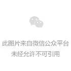诗人雷平阳：与酒有关的乡愁不属于我