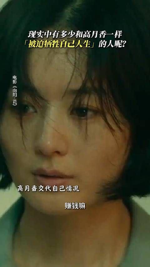 那是高月香的人生,却没有自己选择的权力,《向阳花》