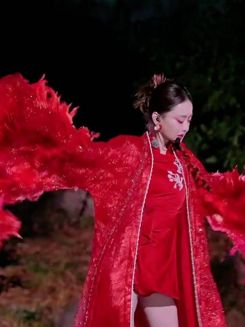 芒果发了陈德容二公直拍,这真是最形象的:我表情悠哉跳个大概