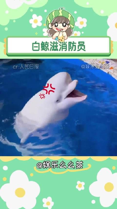 白鲸:你小子真的反了天了