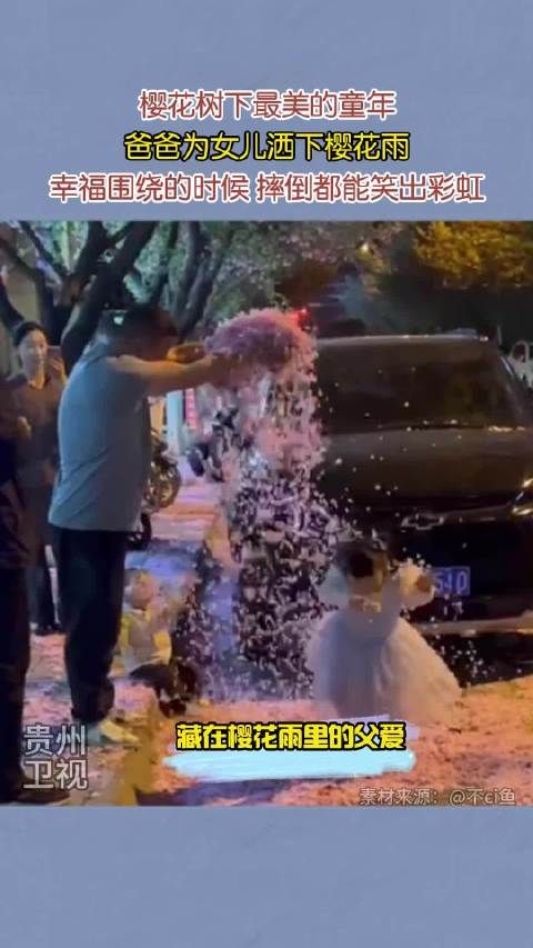 爸爸给女儿下樱花雨,每一瓣都写满了父爱与温柔