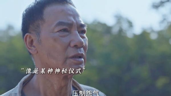 任达华再探悬案,连环碎尸案凶手缜密,背后还牵扯出一段隐秘!