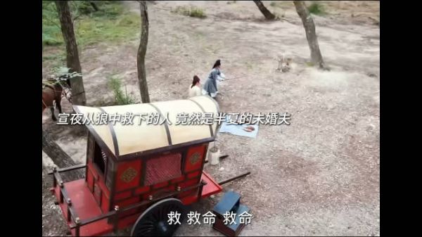 没想到随手救下的人竟然是情敌 任嘉伦作品二创