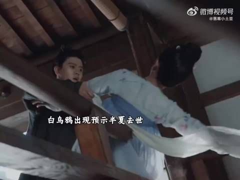 白乌鸦出现预示半夏去世,宣夜为了救她斩断两人因果!任嘉伦 宋祖儿