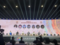 优质IP仍是投资核心 长线发展需匹配耐心资本
