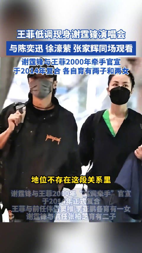王菲低调现身谢霆锋演唱会,与陈奕迅等同场观看