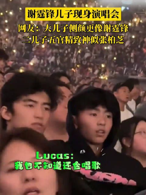 两兄弟高颜值引热议,网友:大儿子更像谢霆锋,二儿子神似张柏芝