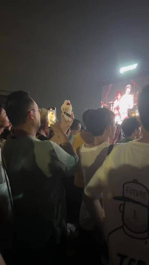带着labubu参加音乐节的大叔!