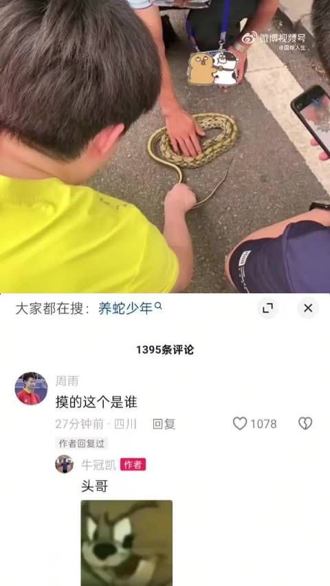 王楚钦在路边摸蛇