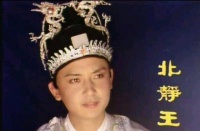 在《红楼梦》中，北静王的出现有什么意义？