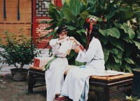 《红楼梦》中，晴雯这只“花瓶”，是被谁打碎的？