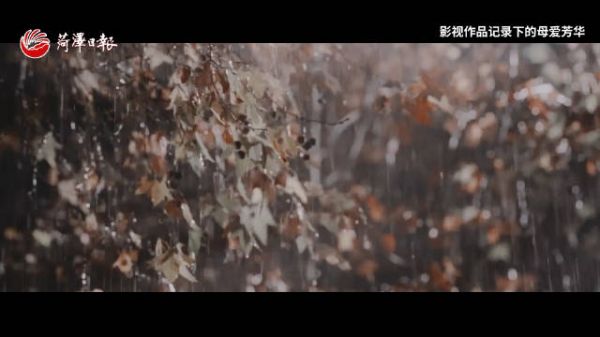 影视作品记录下的母爱芳华,每一帧都诉说着人间深情