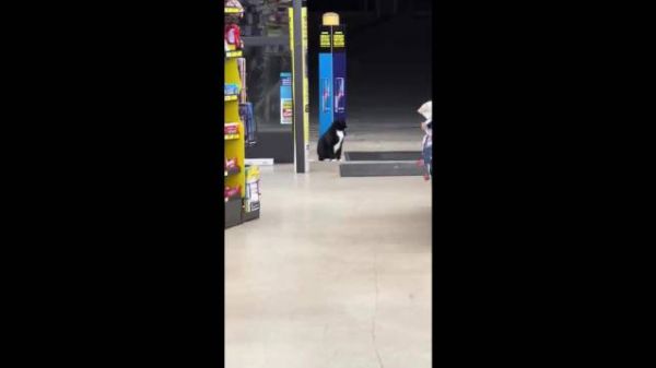 兄弟认为那是他的工作