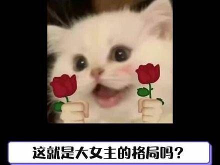 杨紫号召粉丝共同守护电视剧~ 紫妹的情商确实了得！