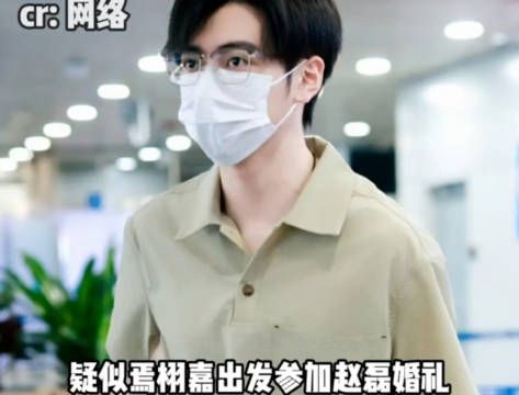 赵磊巴厘岛婚礼举行,焉栩嘉担任伴郎