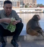 请杨议与侯耀华：把江湖还给艺术，把体面留给时间