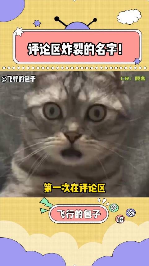 网友盘点plq炸裂三字名,父母取名引热议