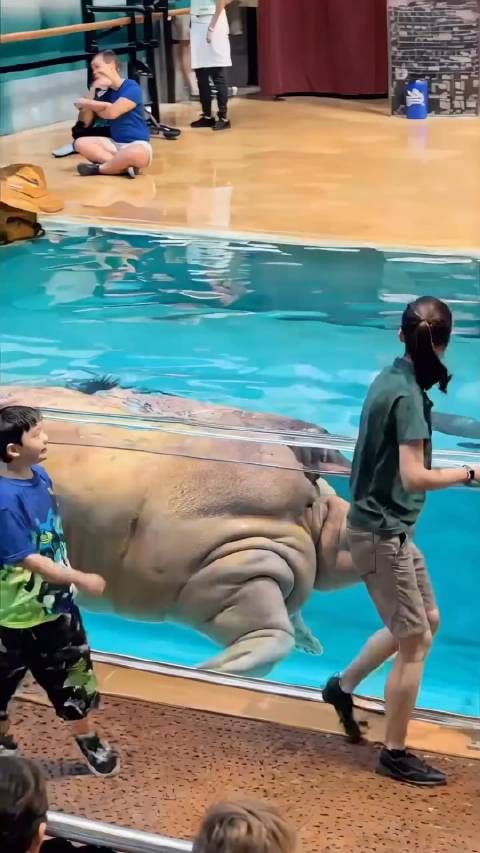 这个是AI吗?游泳丱 的极致诱惑