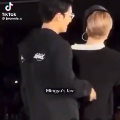 很喜欢摸猫咪的一只小狗 Cr.jwonnie_s