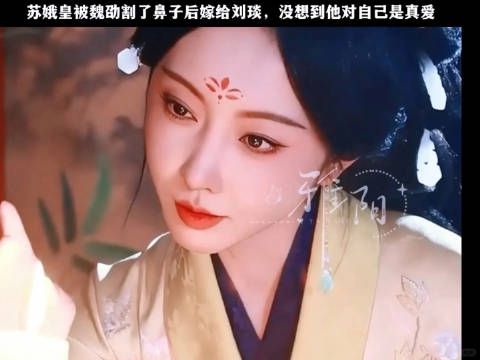 苏娥皇的一生颇为奇特,最终嫁给了刘琰,而刘琰对她则是真爱