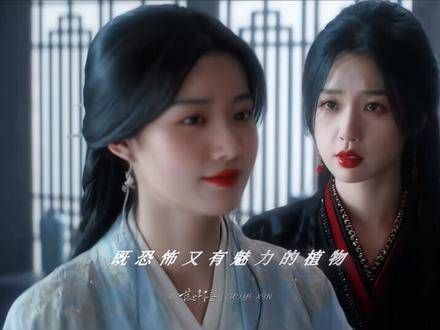 迷惑 卢昱晓 上官浅