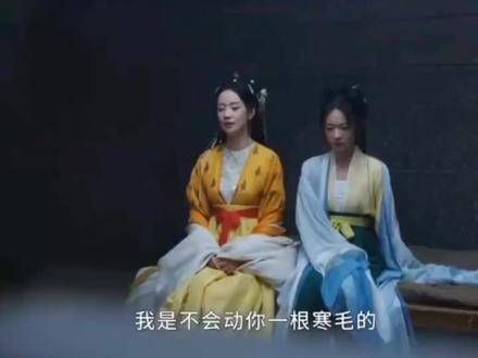 太令人同情了 长公主的故事 truly 感人 萧蘅薛芳菲 的情感纠葛