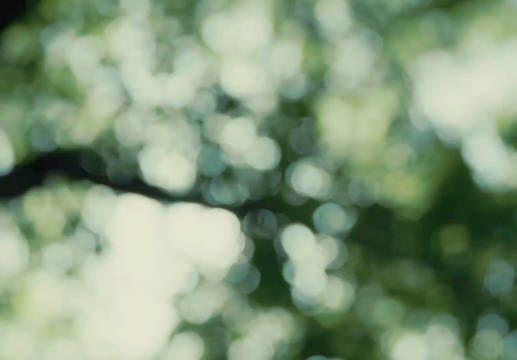 《陷入我们的热恋》你有这样权威的男女主进入内娱拿什么输!